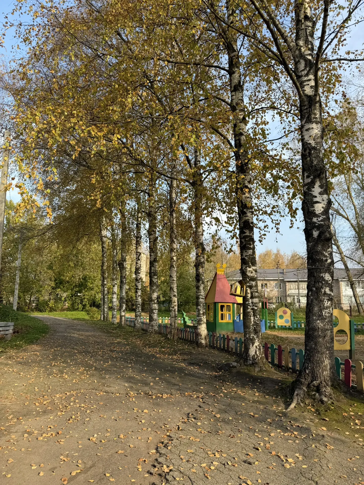 Осень на нашем огороде🍂🍁🐰