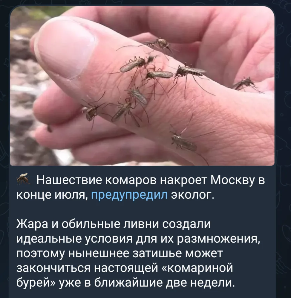 Нам пизда