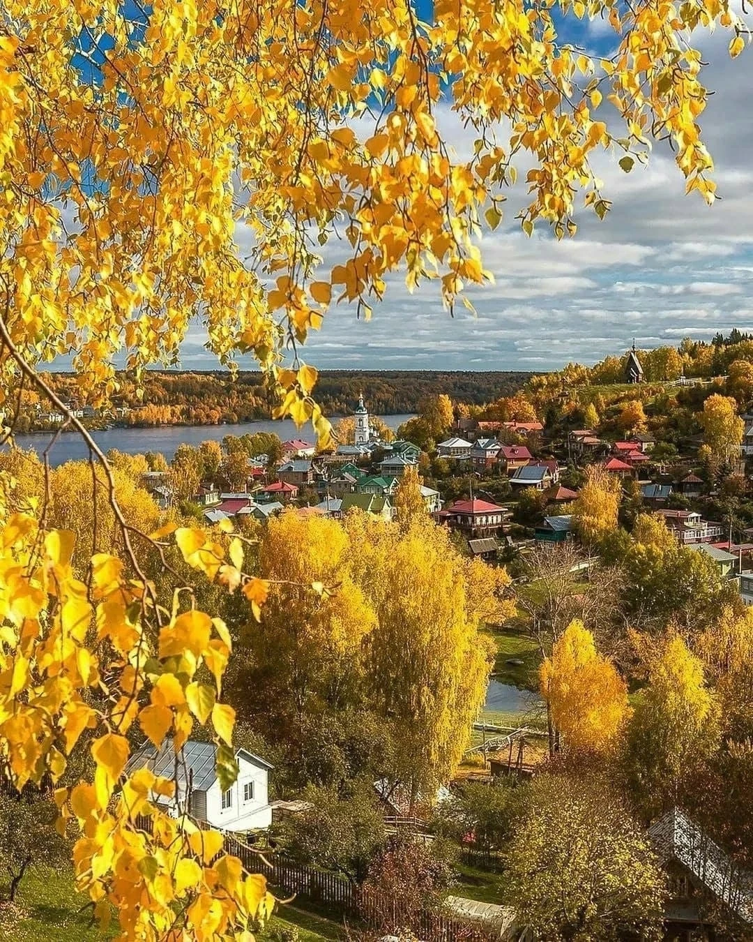 Золотая осень. 🍂🍁 Какое фото нравится вам больше 1,2,3... 10?
