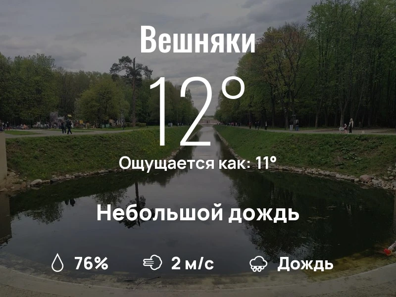Что с погодой в Вешняках?