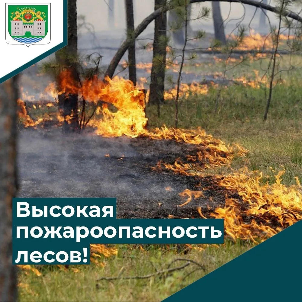 ❗От Марийского ЦГМС – Филиала ФГБУ «Верхне-Волжское УГМС»
поступило предупреждение:
🔥«В период с 17