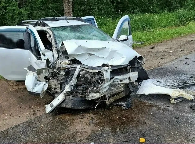 Под Костромой пьяный водитель покалечил не только себя 🚨