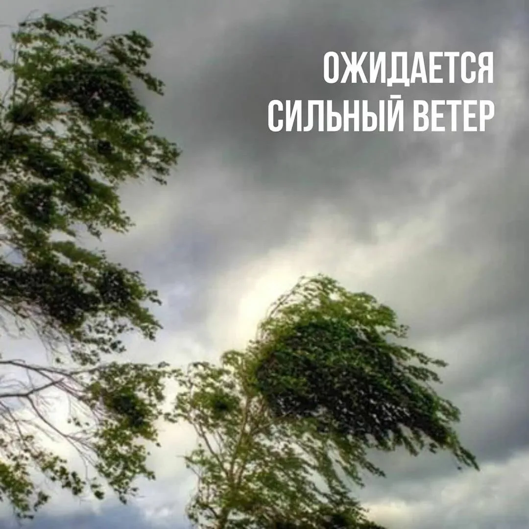 📣 Внимание, жители Бурятии! Прогнозируется ветреная погода!