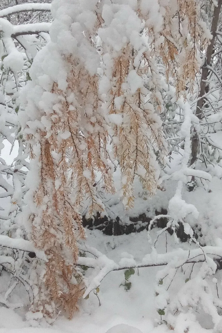 Доброе утро, Североуральск! ❤❄