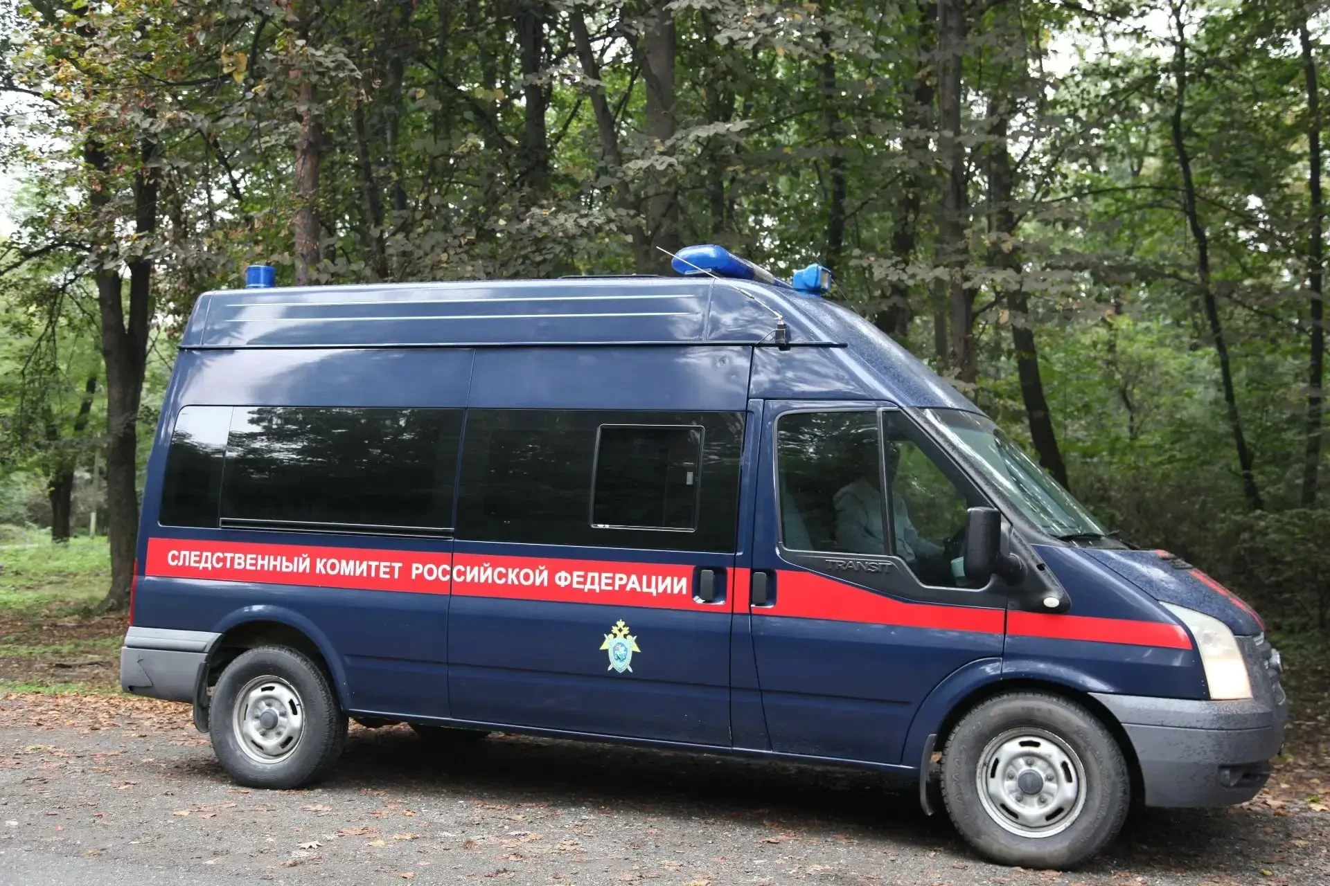 ⚖️ В Воронежской области перед судом предстанет женщина за истязание внучки
