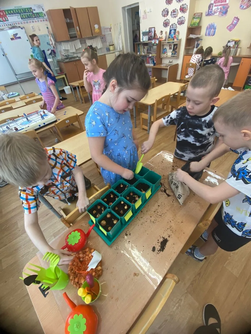 Огород на подоконнике