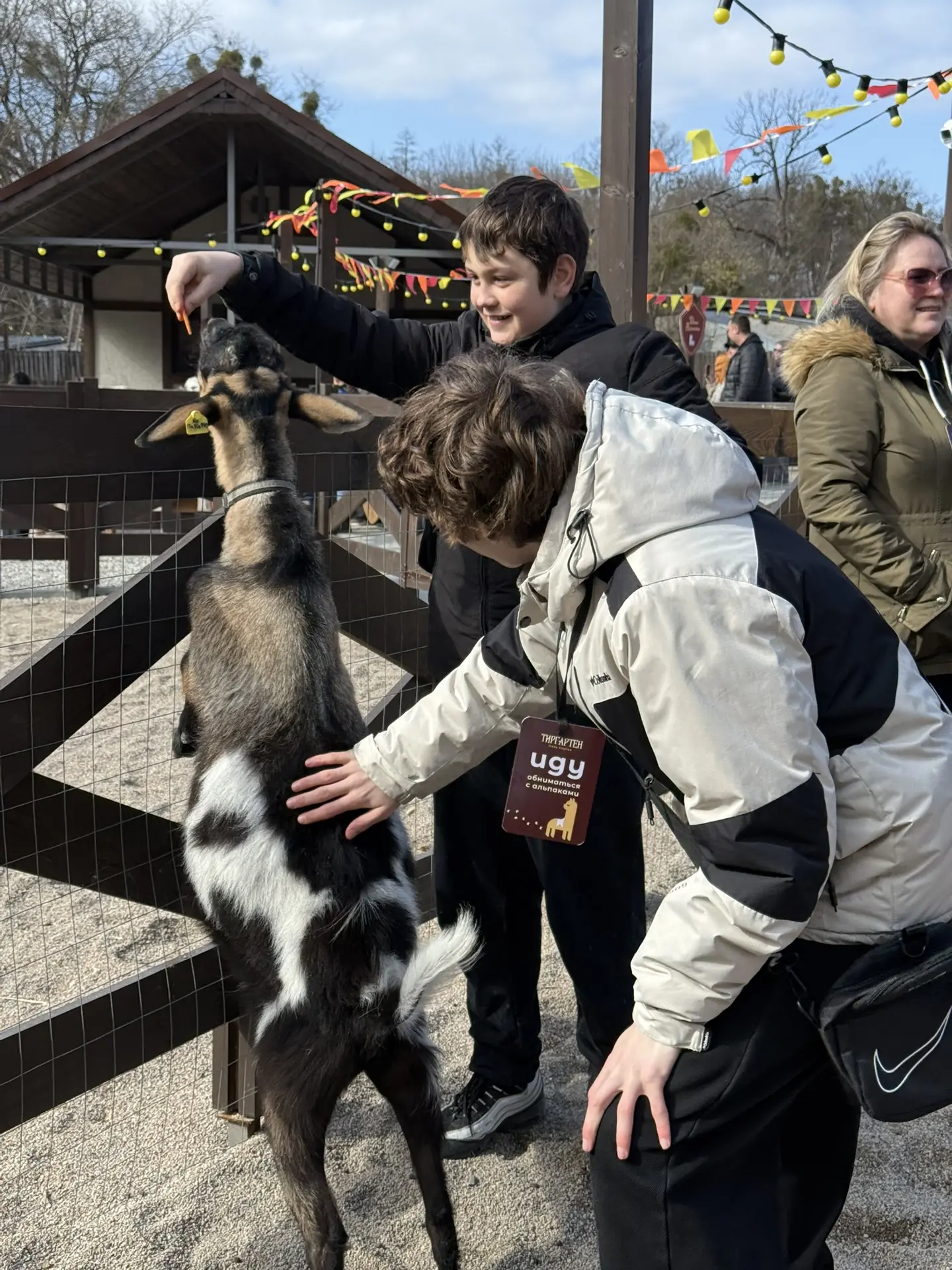 В гости к альпакам 🦙   Учащиеся 6В класса посетили парк альпак «Тиргартен», расположенный у стен зам