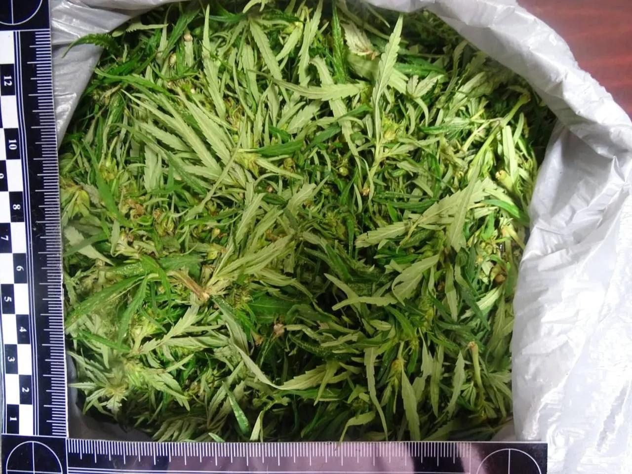 👮‍♂️В Тайшете транспортные полицейские изъяли пакет марихуаны у гражданина