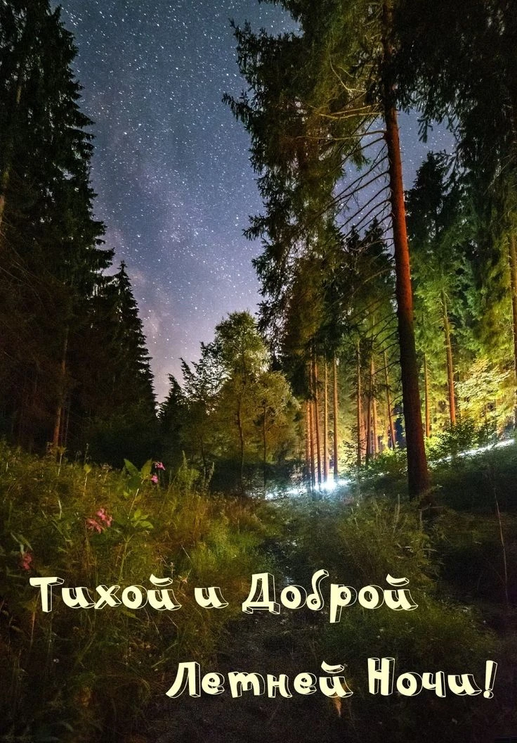 🥰 Оставляйте реакции, если понравилась открытка и делитесь с близкими ❤

Подпишитесь и Вы не сможет