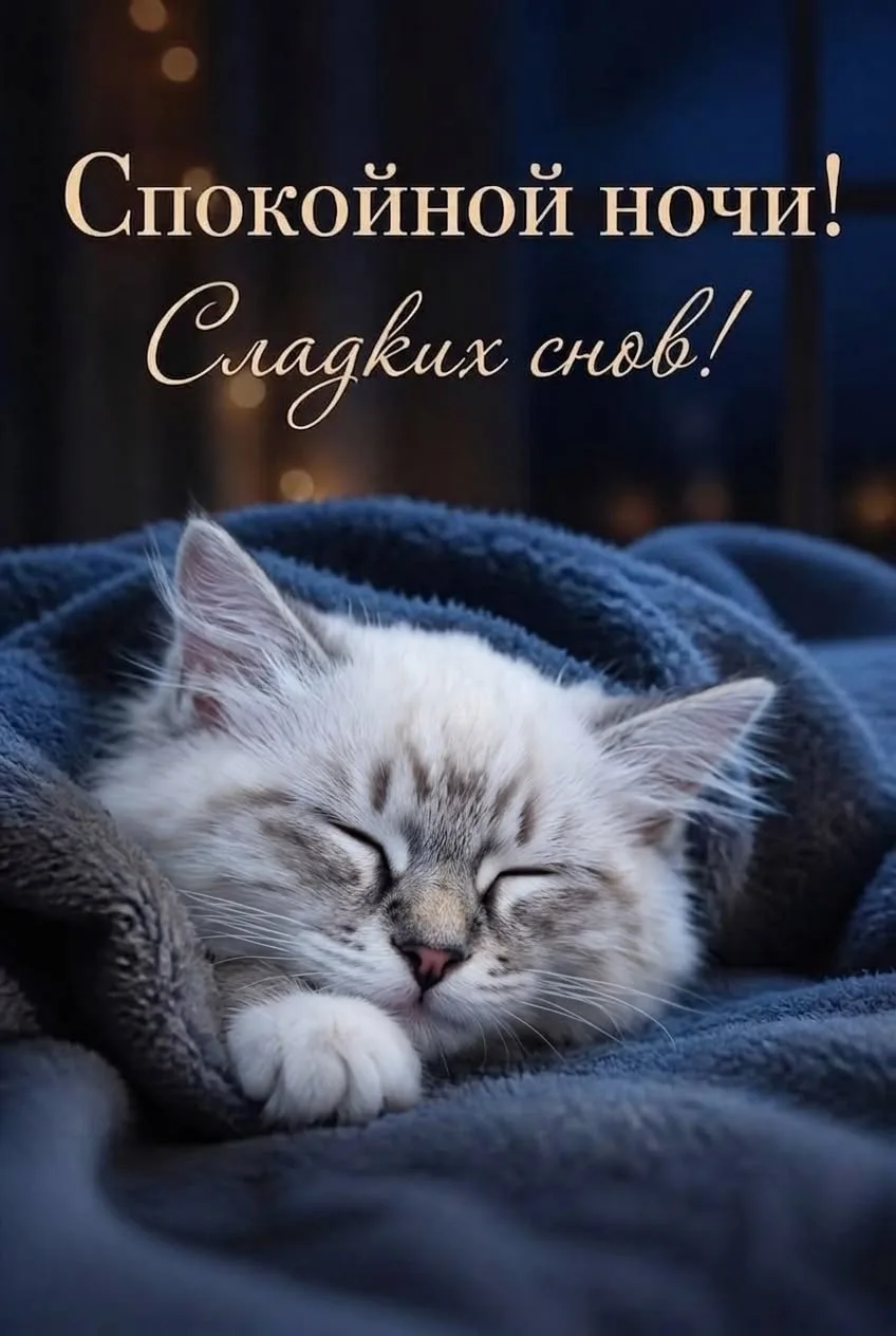 #спокойнойночи