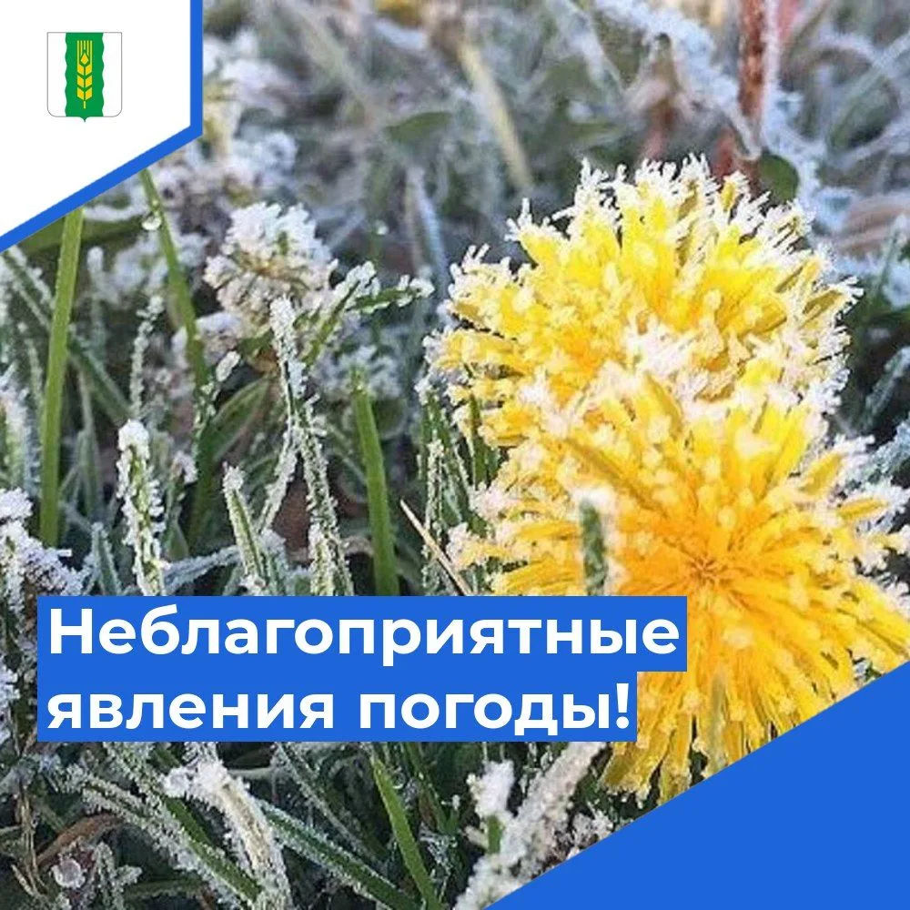 Предупреждение о опасных явлениях погоды!