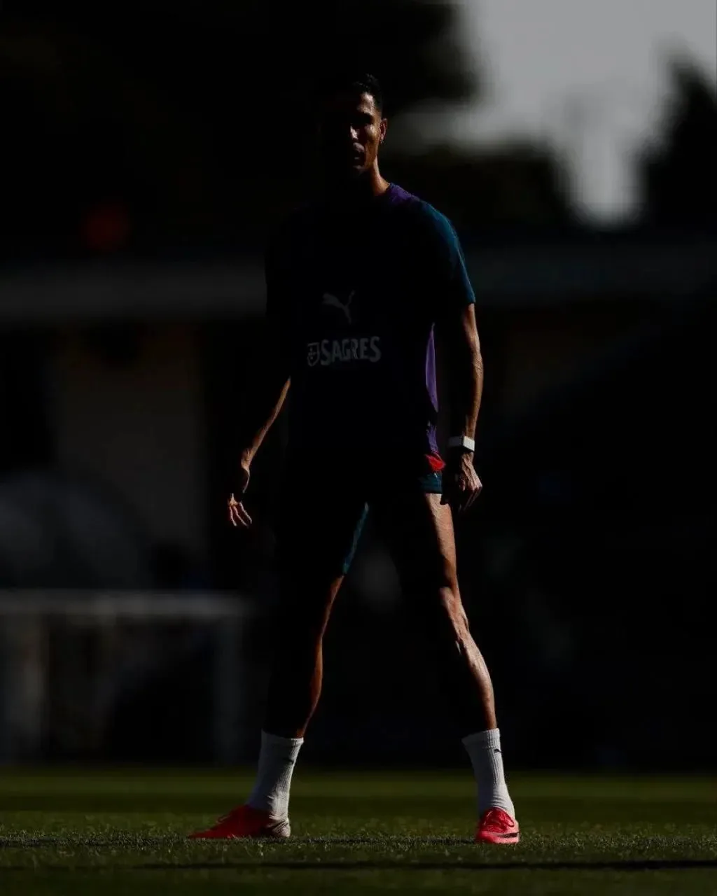 🌑🐐