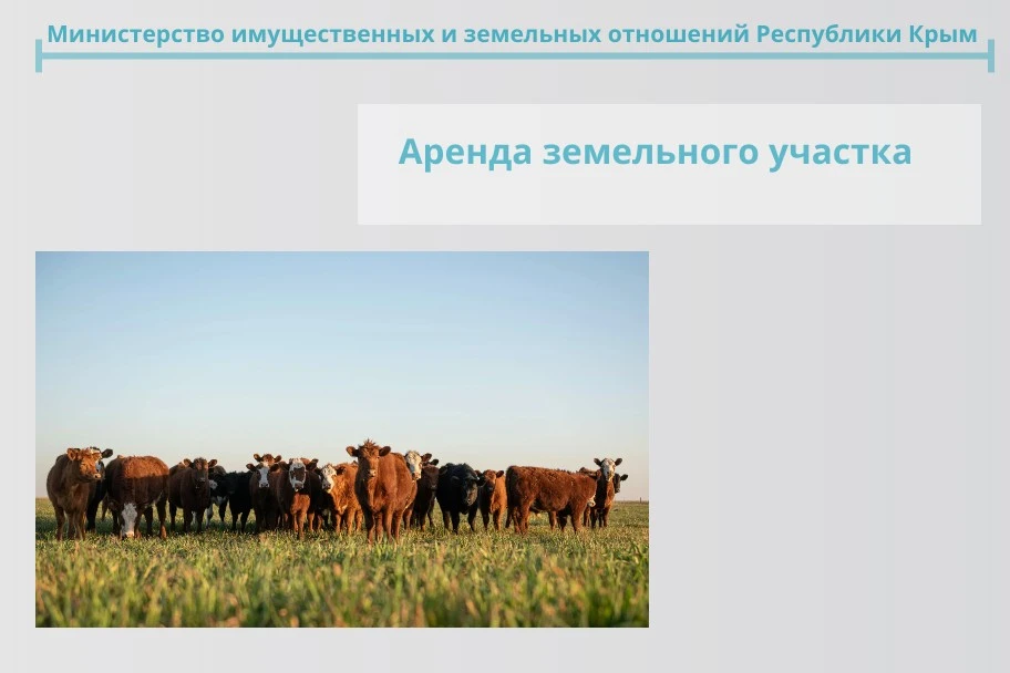 Фермеры могут взять в аренду земельный участок в Первомайском районе для выпаса сельскохозяйственных