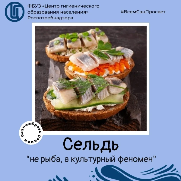 Разнообразь рацион. Выбери сельдь🐟