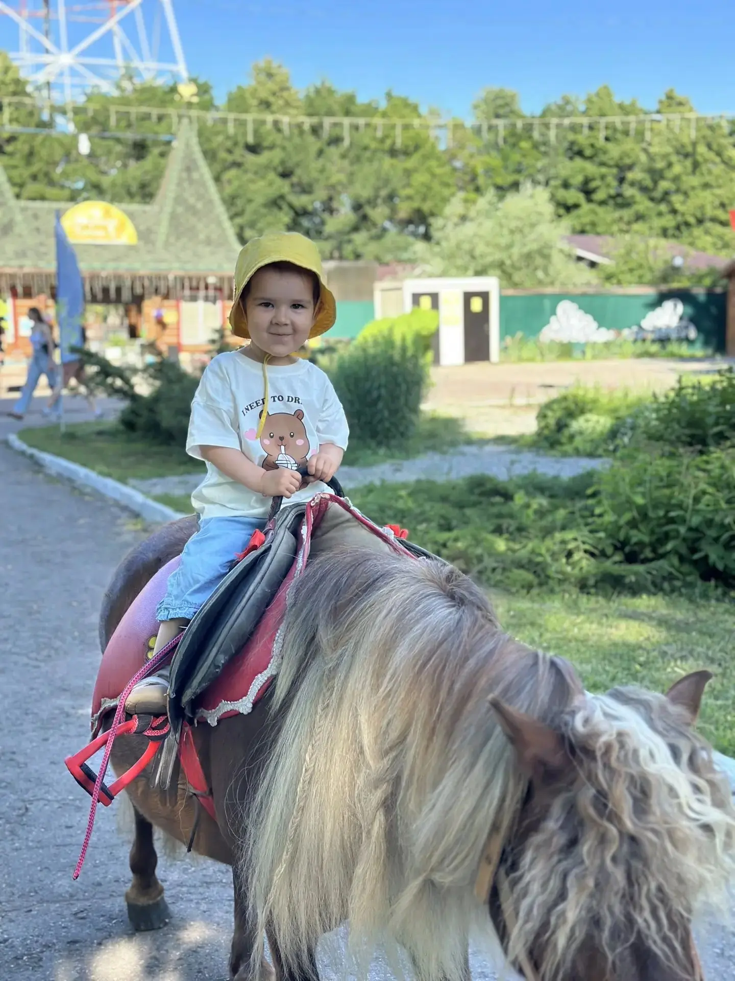 Я своей лошадке гриву причешу,