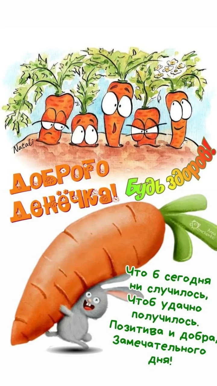 Юмор и открытки на каждый день