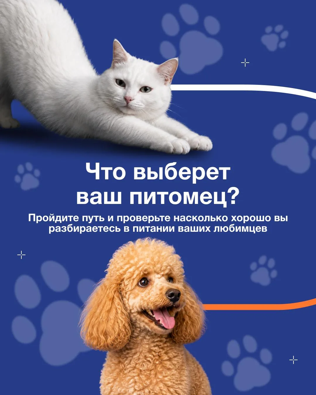 🐾 Миф или правда?