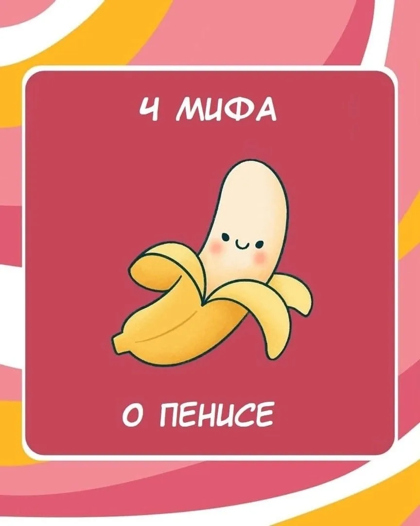 - 4 мифа о пенисе