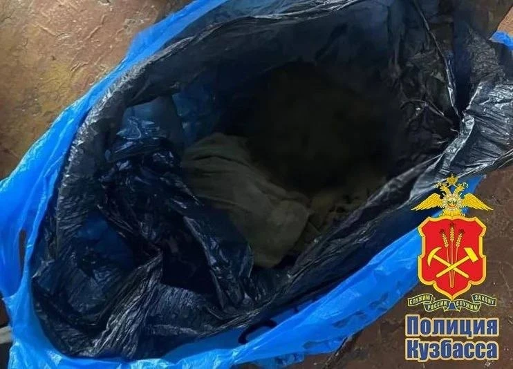 Житель Топок спрятал 8 кг марихуаны в доме родственницы