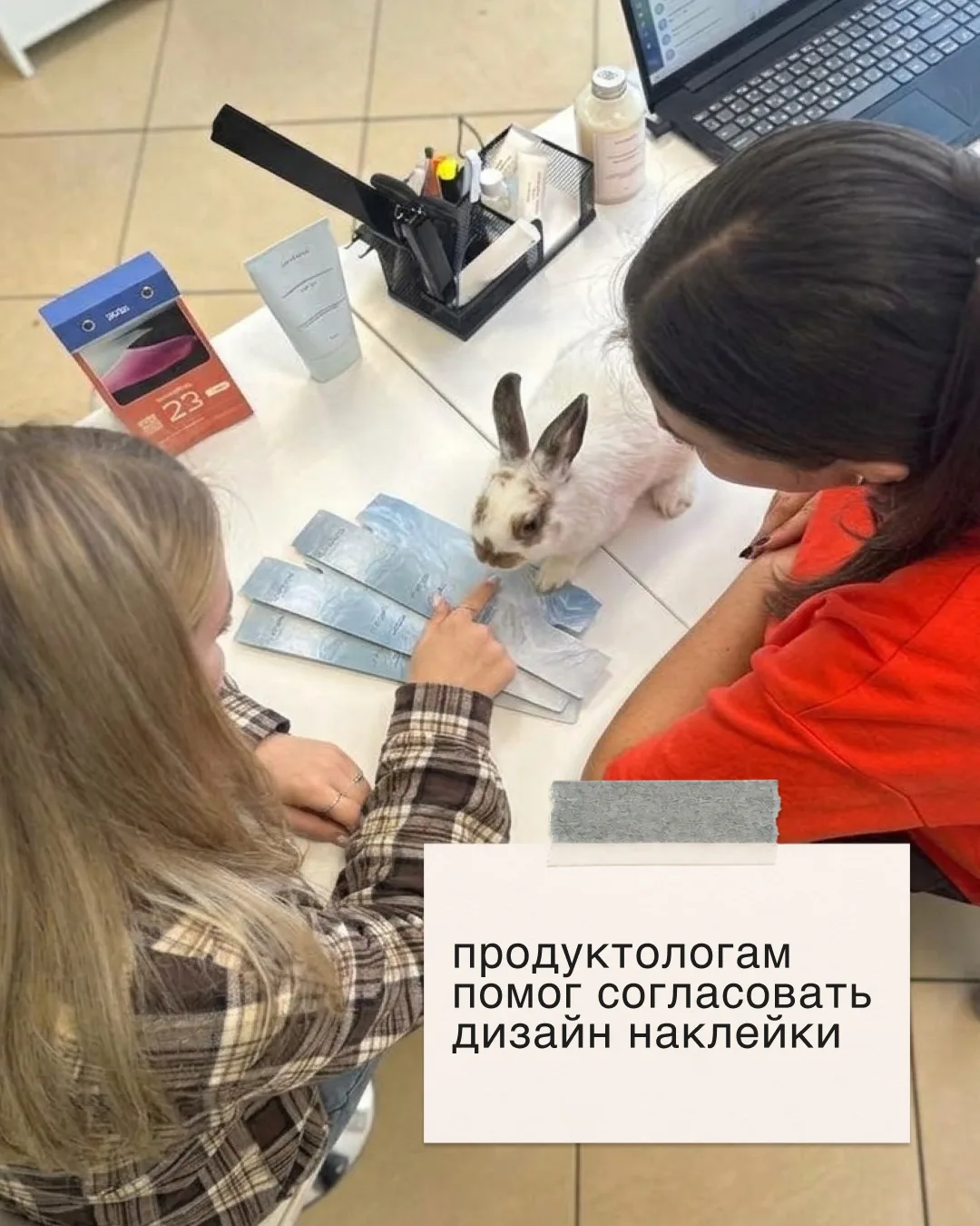 У нас в офисе есть необычный сотрудник ✨