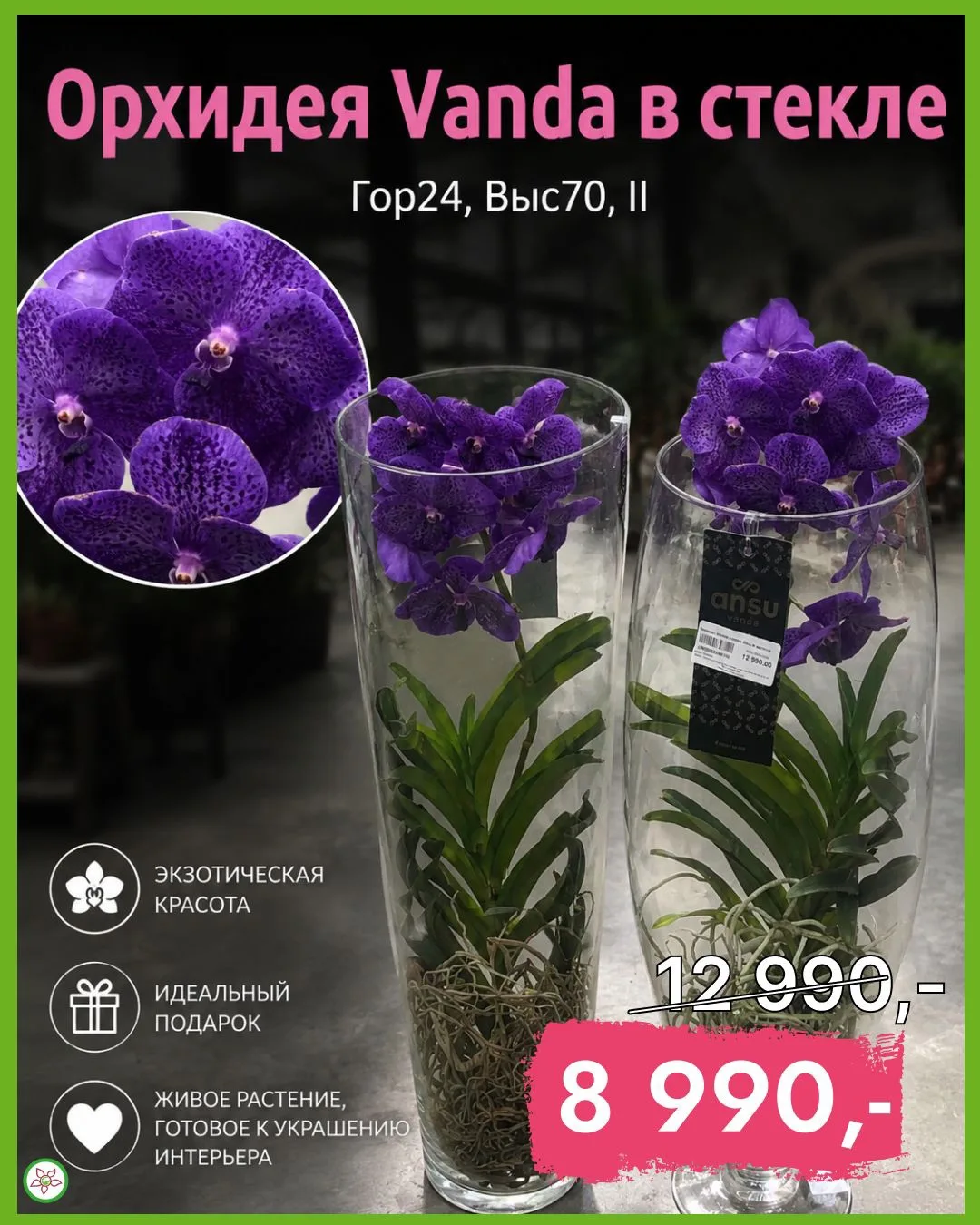 ✨ Королевская Орхидея Vanda в стекле! ✨

Элегантное украшение для вашего интерьера по специальной це