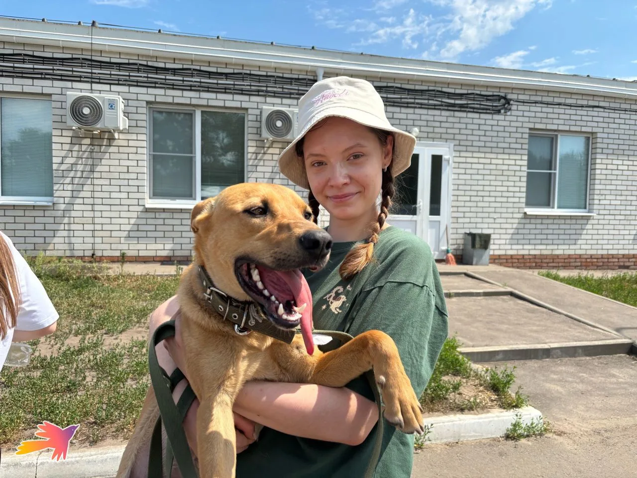 🐶ЗООВОЛОНТЁРСТВО🐶
