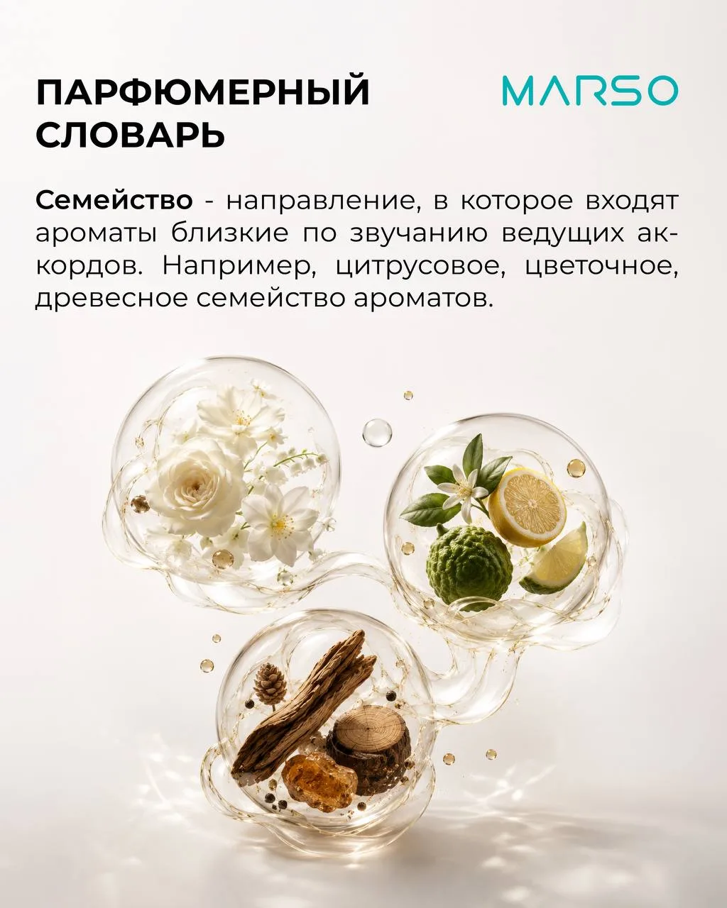 📖 Парфюмерный словарь MARSO