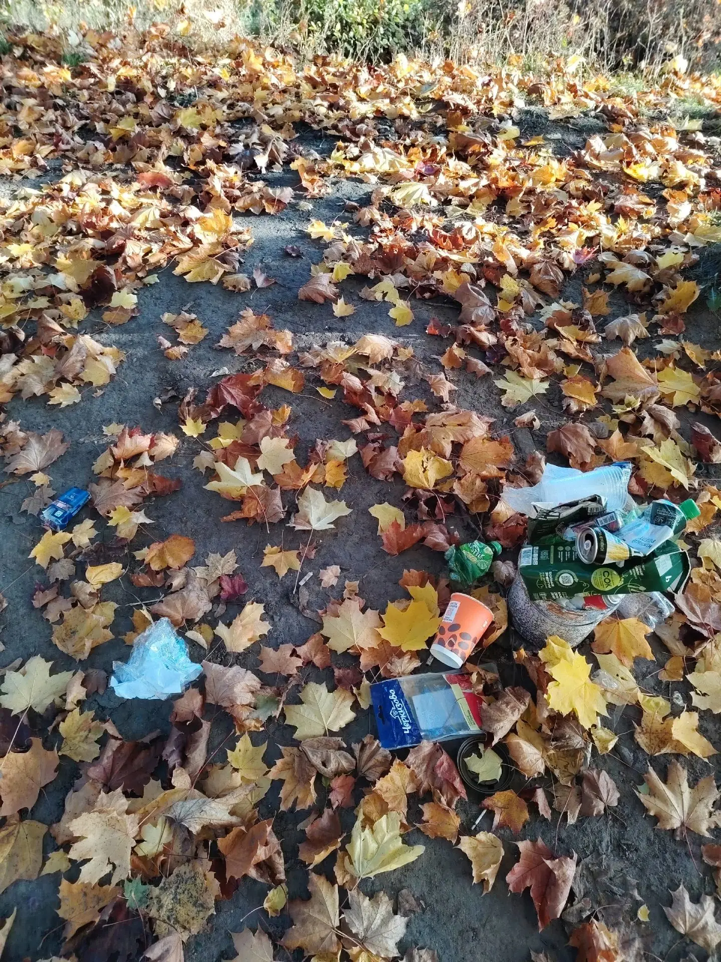 Вокруг нашего водоёма в Новосиньково, вот такая помойка, по всему берегу. Можно привлеч...