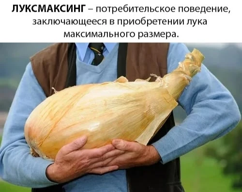 Держите пачку ультимативно неизбитых фактов про лук (#Allium_cepa).