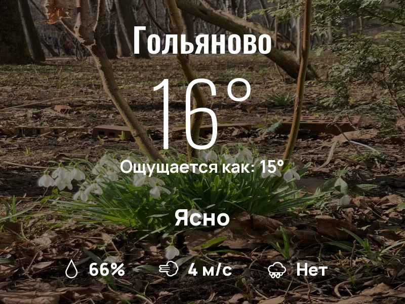 Что с погодой в Гольяново?