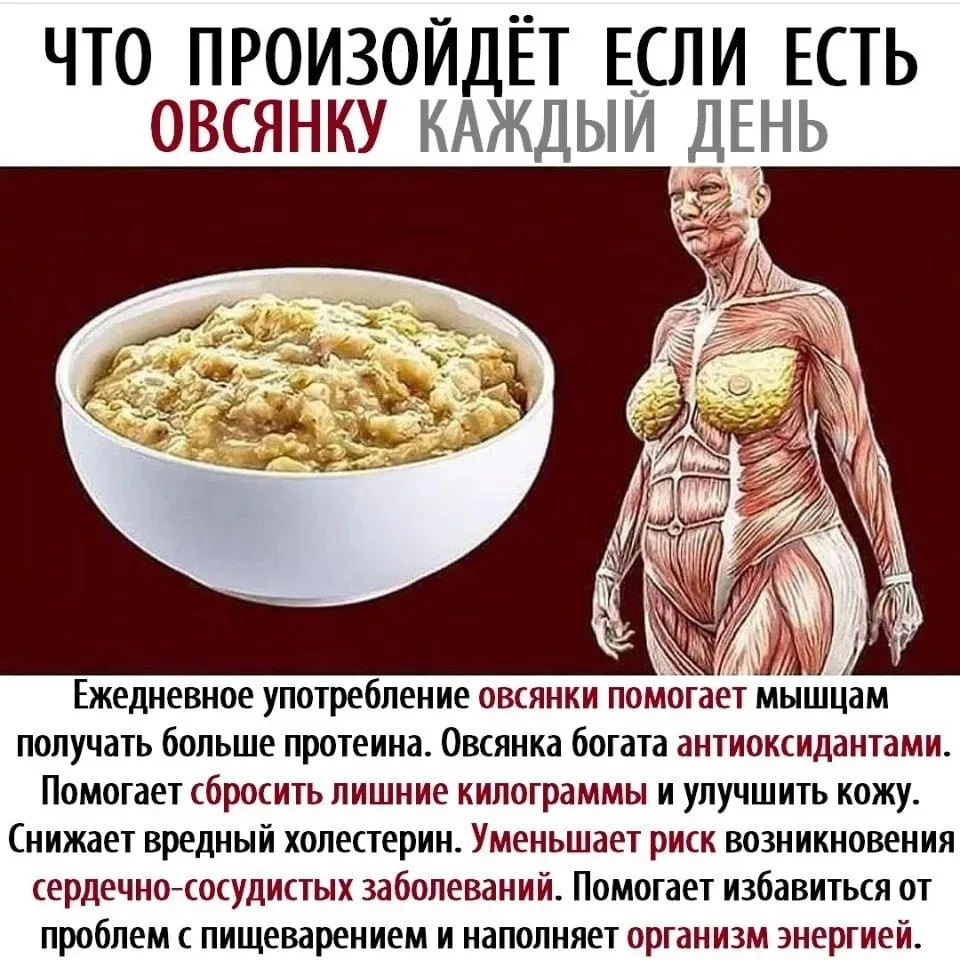 Любите овсянку?