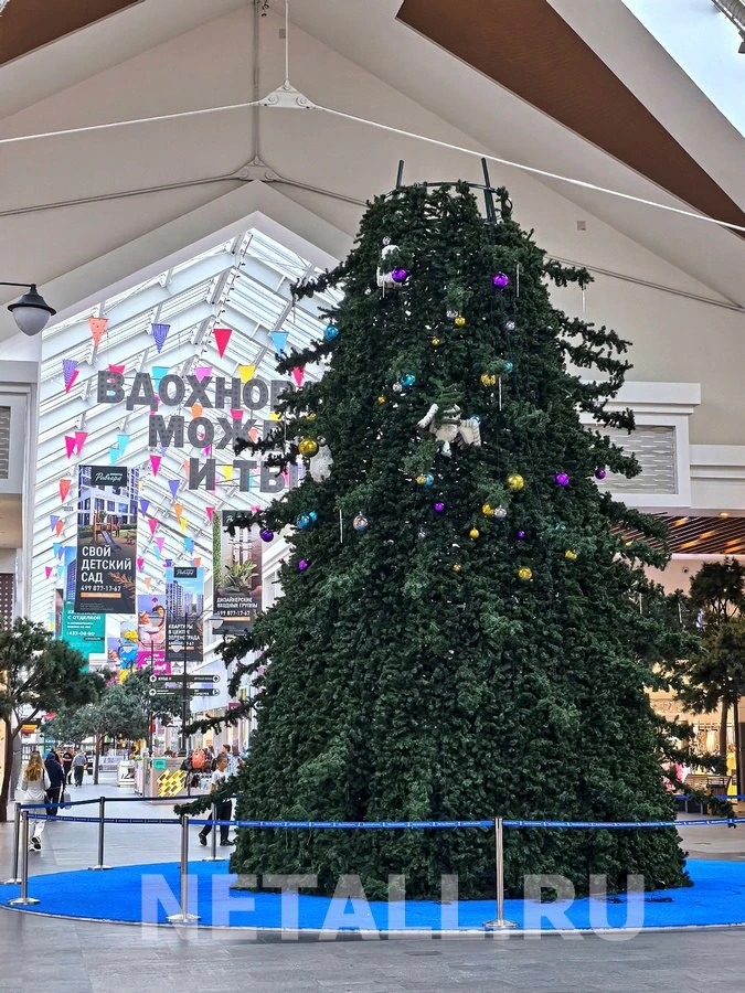 Не прошло и полугода — в «Зеленопарке» начали разбирать новогоднюю елку

Фото: netall.ru

Прислать н