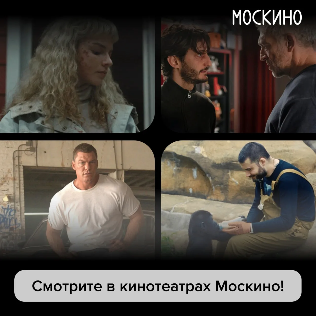 Правило №48394792 ✍🏻