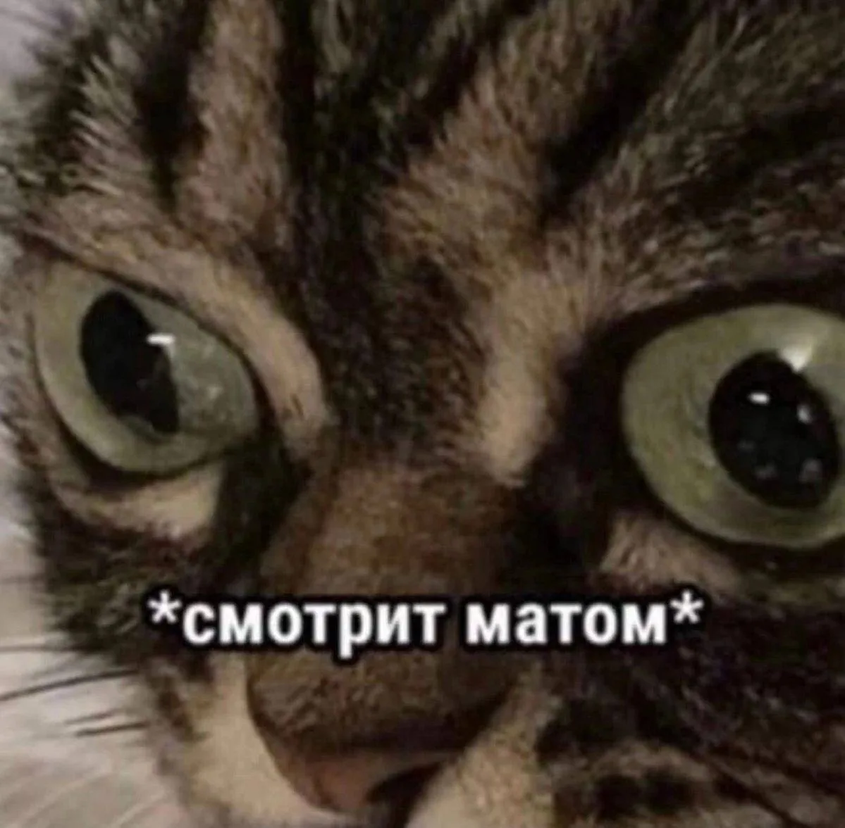 Какой Аркан покажет уничтожение пальмы? 🗡  Для пальмы это 100% будет 10 Мечей)) Но знаете ли вы, что