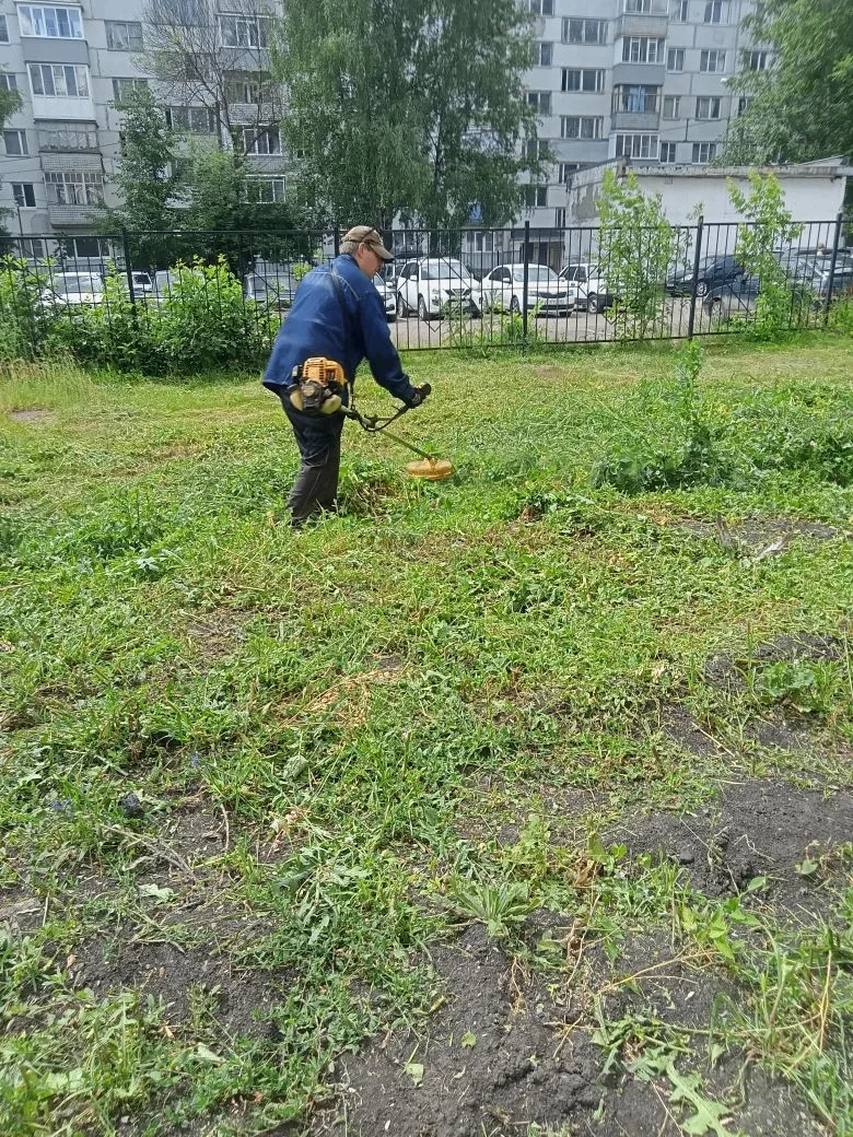 Активно боремся с зарослями. 💪🌿