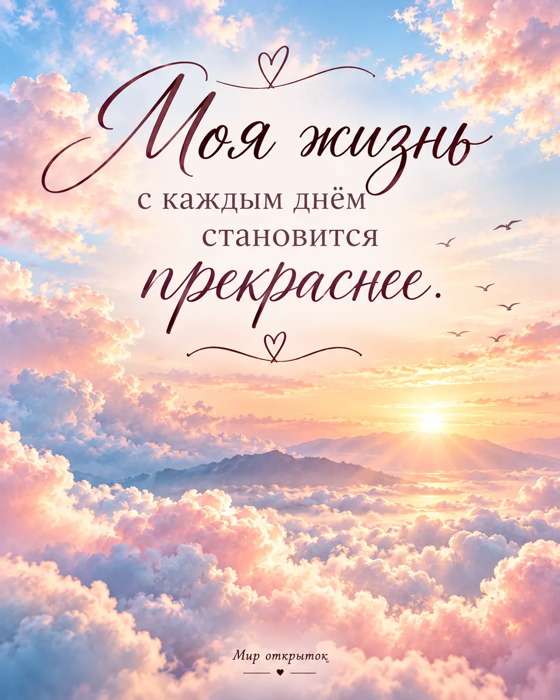 ✨✨✨✨✨✨✨✨✨✨