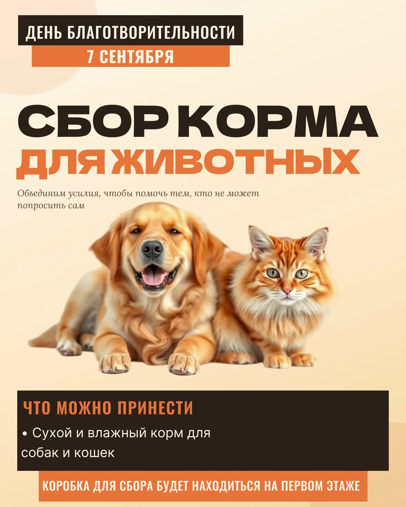 🐾7 СЕНТЯБРЯ — ДЕНЬ БЛАГОТВОРИТЕЛЬНОСТИ В НАШЕЙ ШКОЛЕ!
