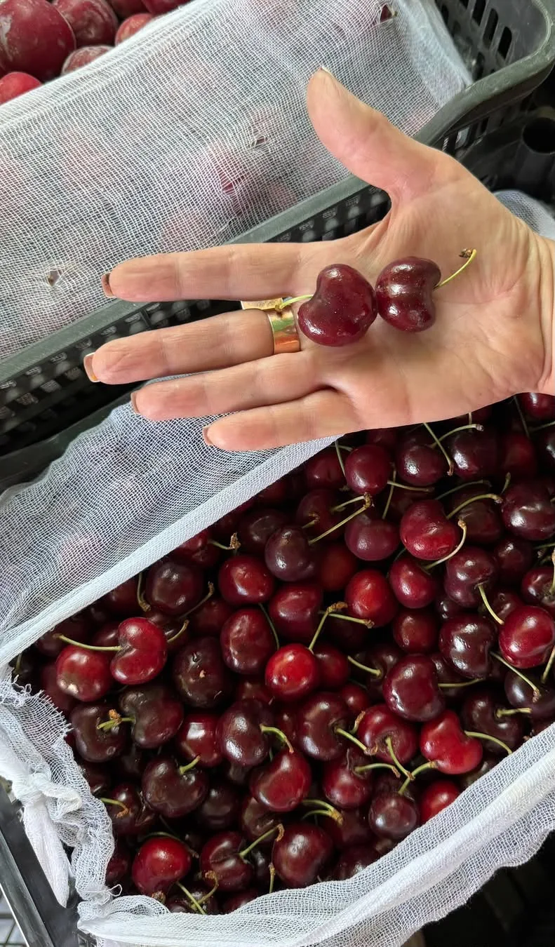 🍒 ЧЕРЕШНЯ Узбекистан 🇺🇿