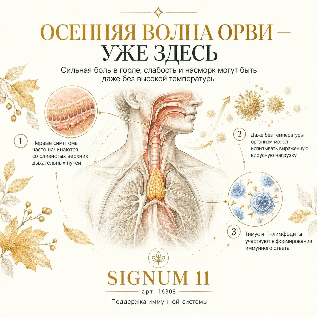 🦠 ЛЕТО ТОЛЬКО ЗАКОНЧИЛОСЬ — А РОССИЮ УЖЕ НАКРЫВАЕТ ВОЛНА СТРАННОГО ОРВИ