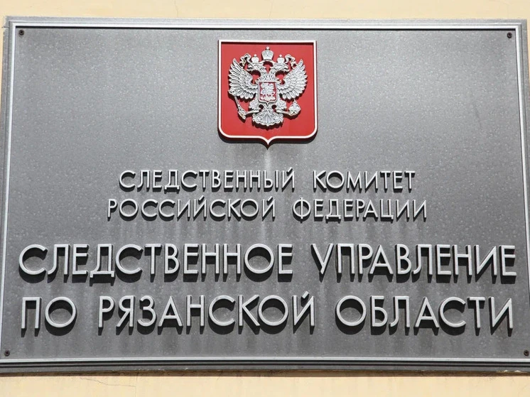 🚨Рязанца подозревают в создании фирм на своё имя