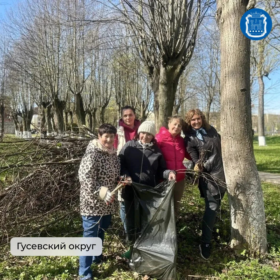 Во всех муниципалитетах области вновь прошли субботники.  Больше семи тысяч жителей убирались в парк