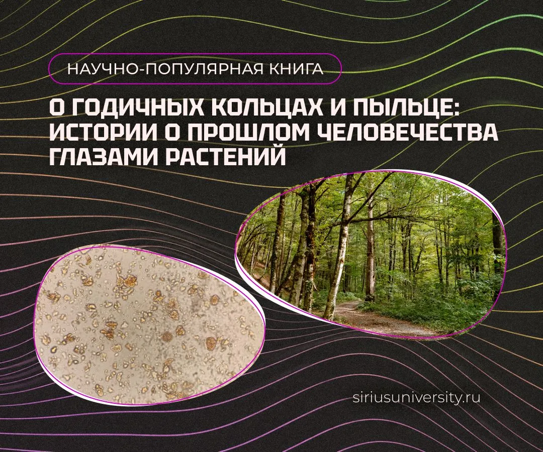 Как учёные узнают то, чего не сохранили письменные источники? 🗿