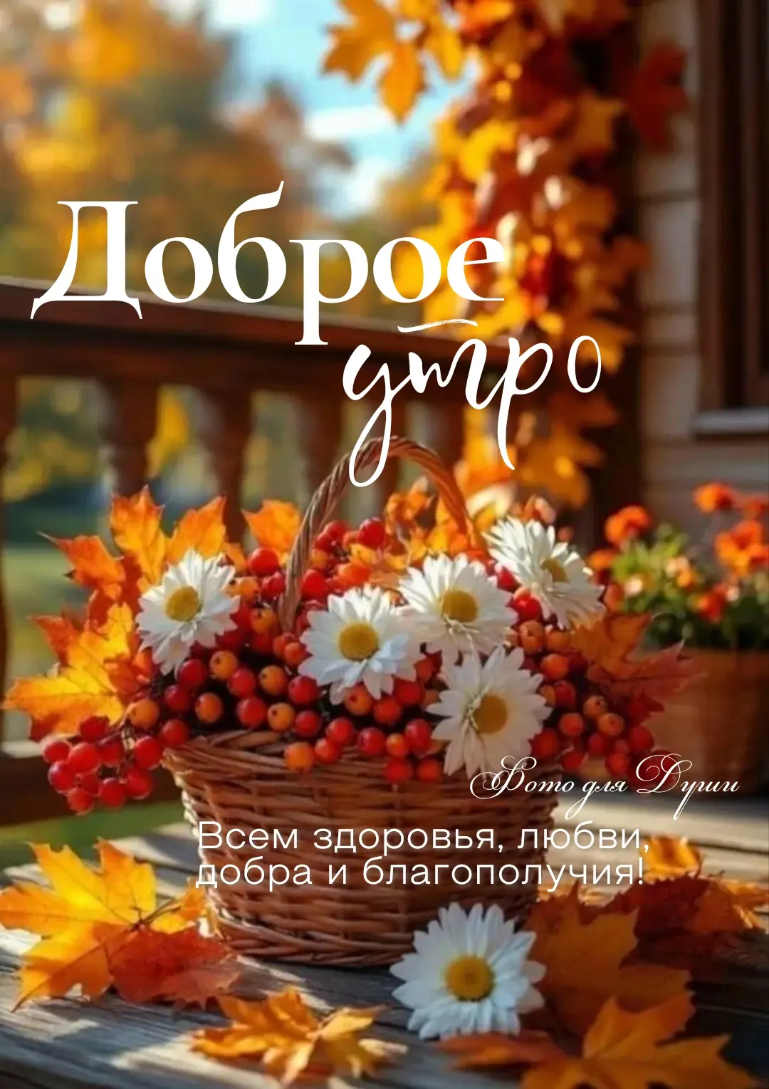 ДОБРОЕ  УТРО