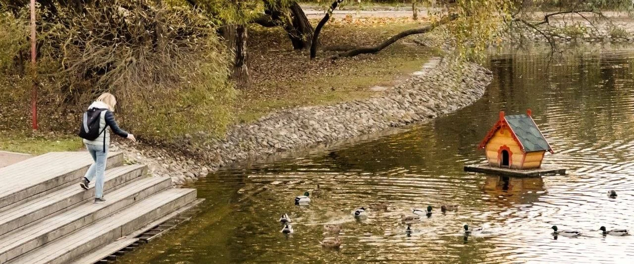 🌳 Парк 50-летия Октября
