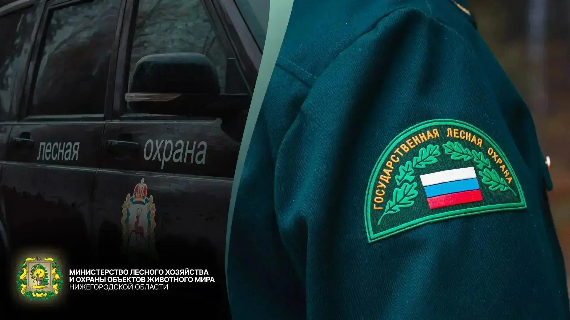 📊 Деятельность лесной охраны в цифрах.