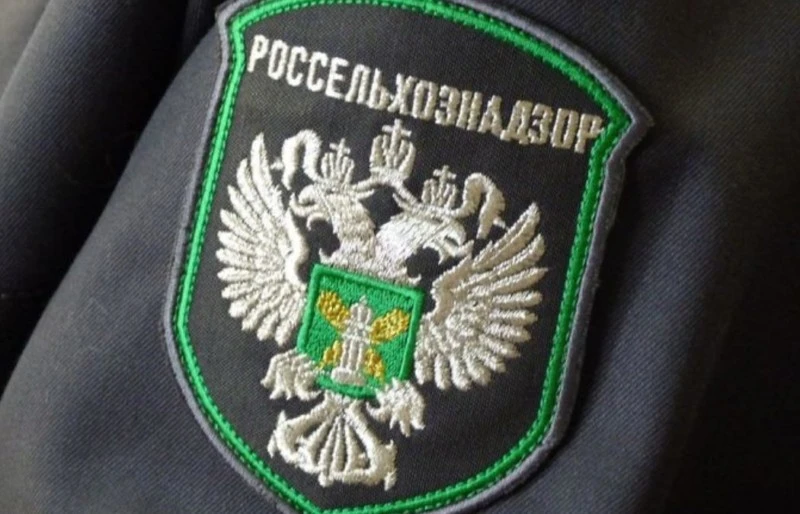В Ливенском районе ветврач выпустила в обращение говядину с прошлогодними анализами 

Специалистами 