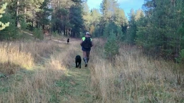 ❗Пропавшего несколько дней назад мужчину нашли мертвым в Архангельской области