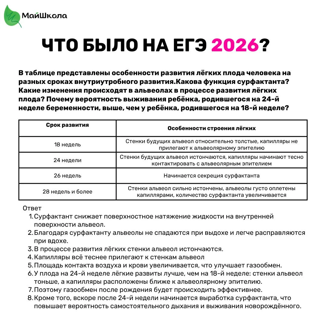Как я и обещала дали задание на СУРФАКТАНТ! 

Условие примерно (собрала со слов ученика), ответ пост