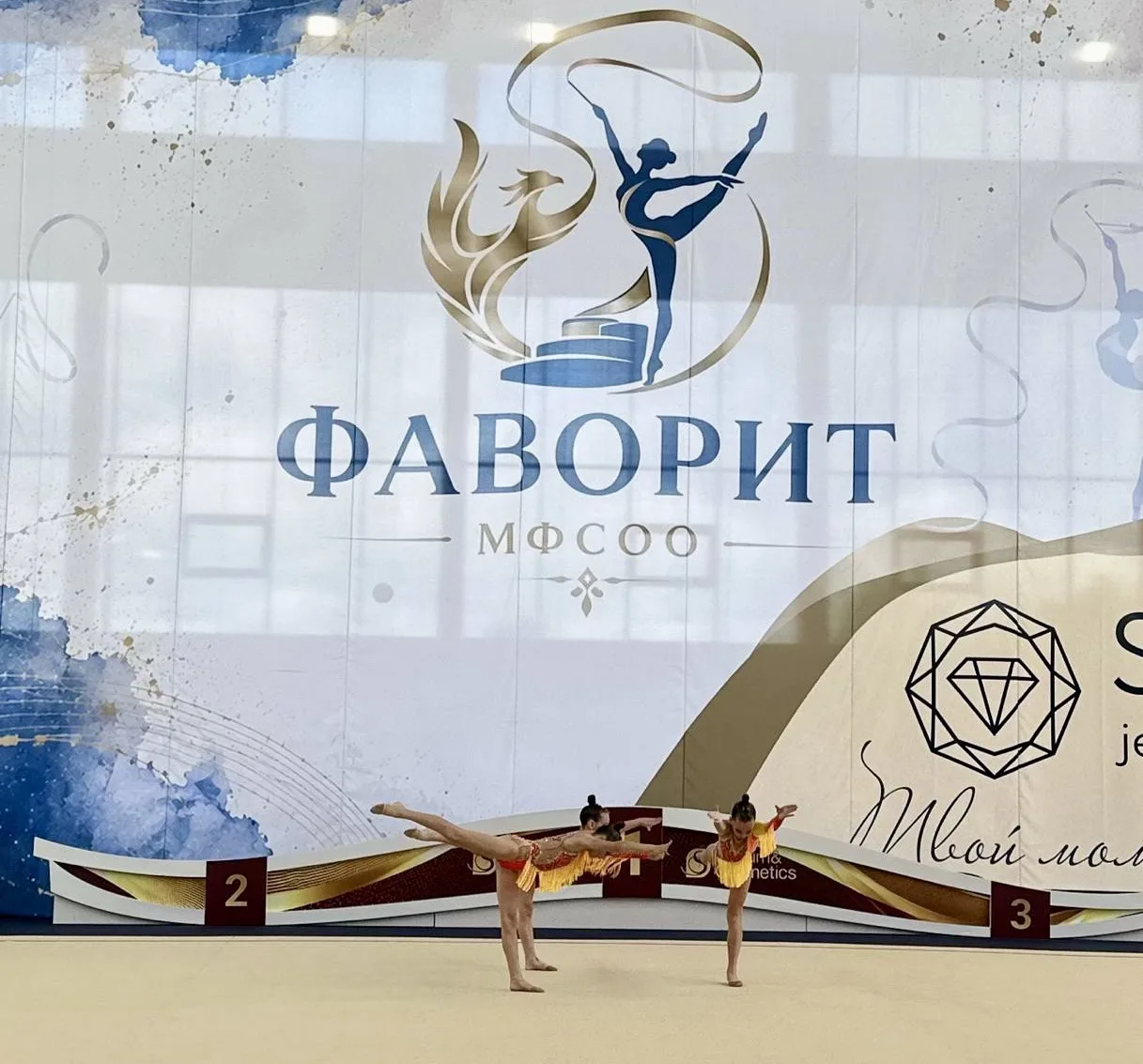 Сегодня на «Арина Дина Арена» проходит