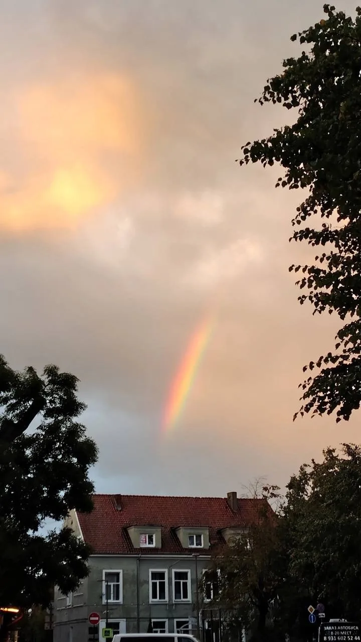 Закат вчера в Зеленоградске был невозможно красивым! 😍